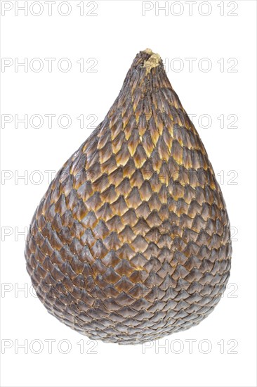 Salak or snake skin fruit