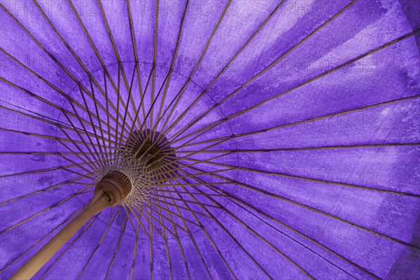 Thai paper umbrella