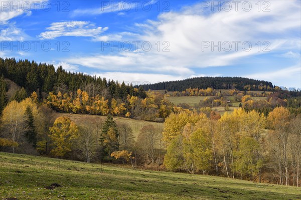 Autumn in the Sumava National Park