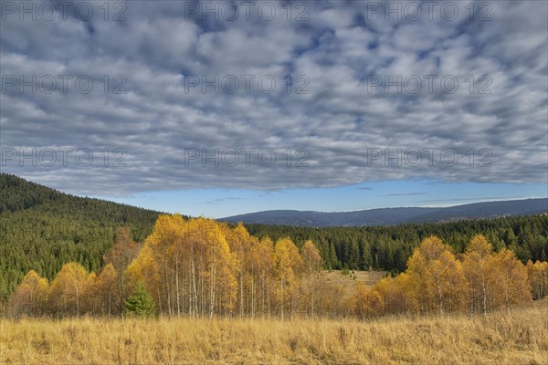 Autumn in the Sumava National Park