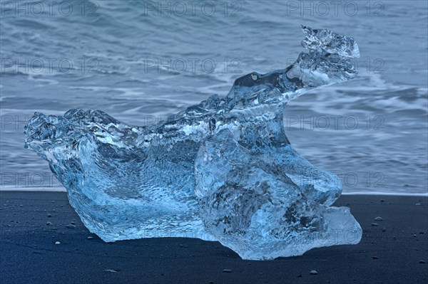 Blue iceberg stranded at the black lava of Breidarsandur