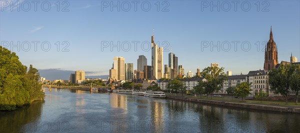 Skyline with Eiserner Steg pedestrian bridge