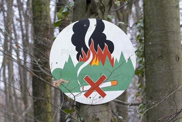 No smoking in the forest