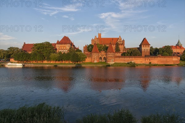 Malbork Castle in the evening light