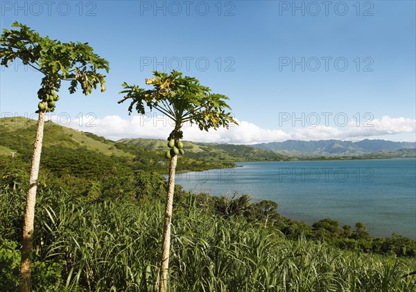 Volivoli Bay