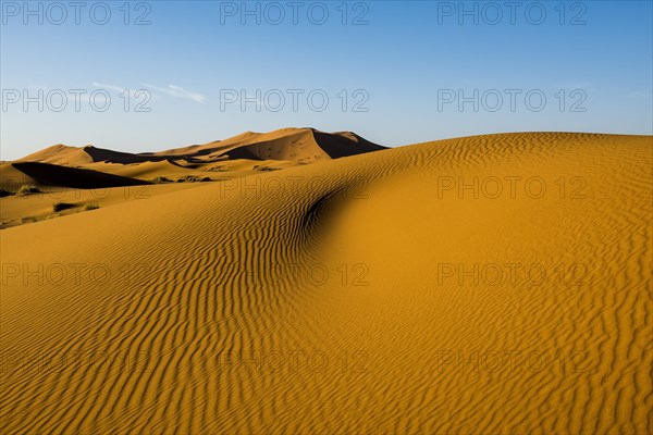 Sand dunes in morning light