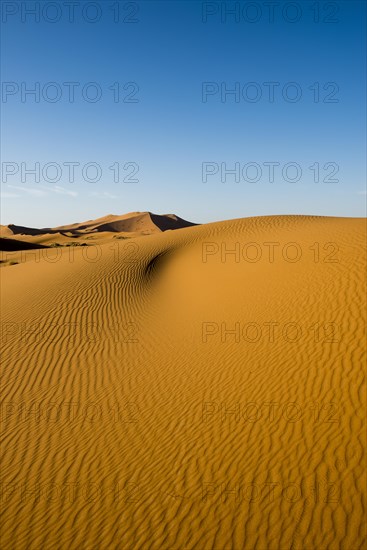 Sand dunes in morning light