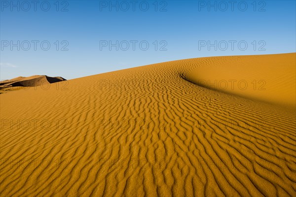 Sand dunes in morning light