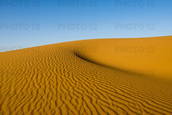 Sand dunes in morning light