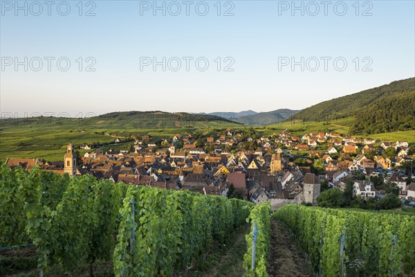 Village and vineyards at sunrise