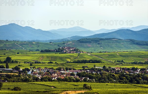 Village in the vineyards