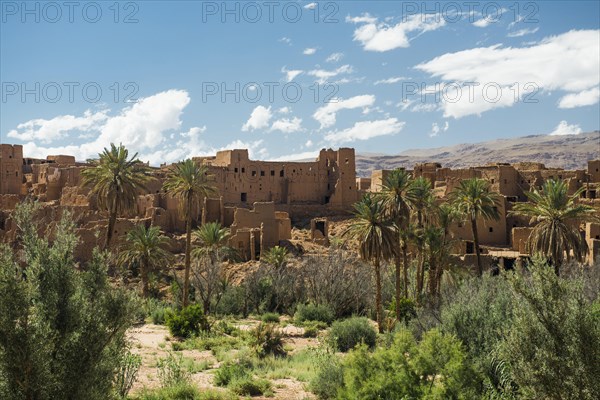 Oasis with traditional adobe houses and date palms