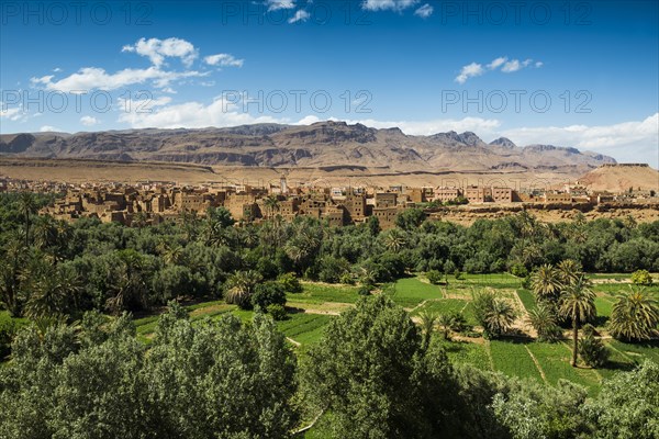 Oasis with traditional adobe houses and date palms