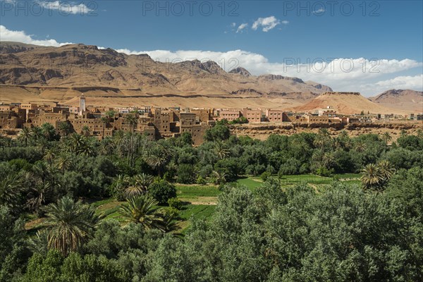 Oasis with traditional adobe houses and date palms