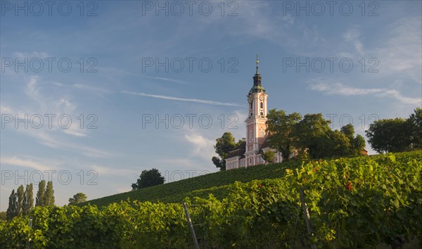 Church in the vineyards