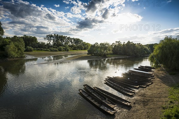 Delta de la Sauer