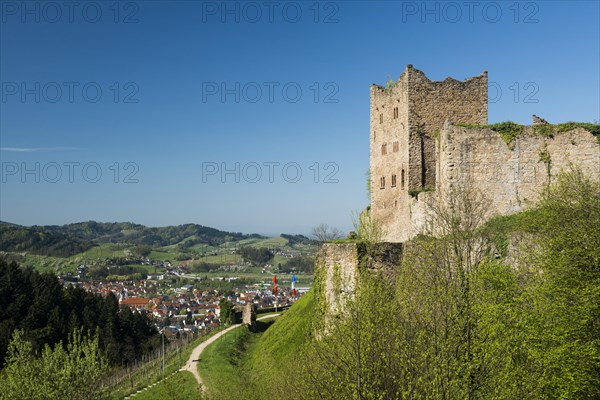 Ruine Neu-Schauenburg castle ruins