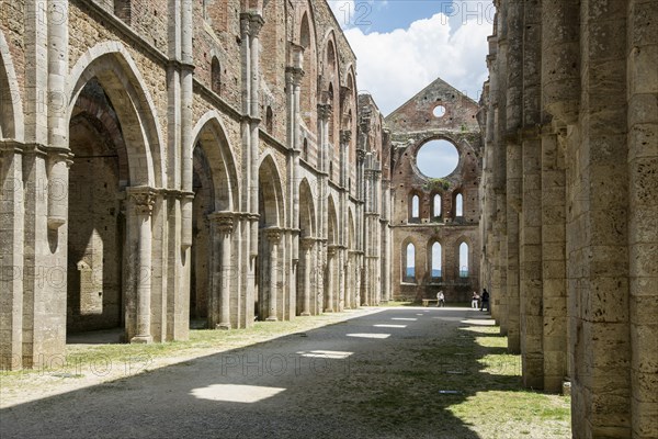 Ruins of the Cistercian Monastery Abbey of Saint Galgano