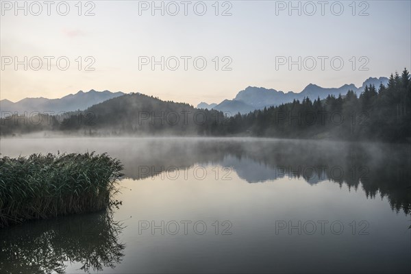 Morning mist