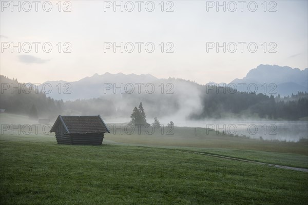 Morning mist