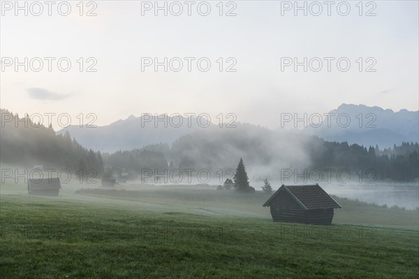 Morning mist