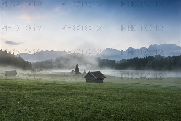 Morning mist