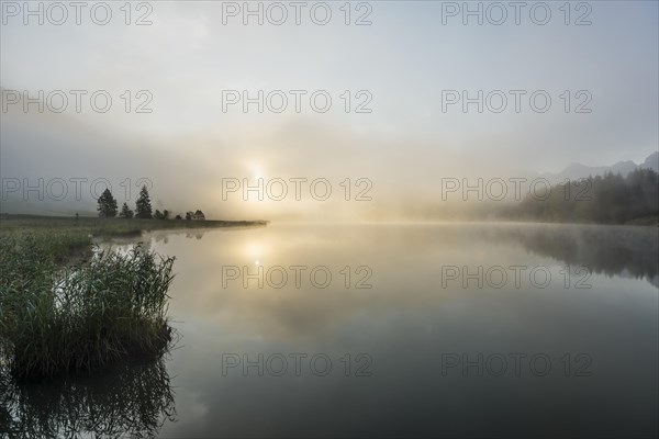 Sunrise and morning mist