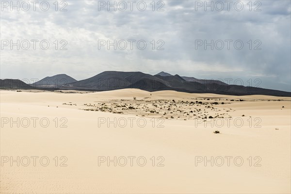 Dunes in front of volcanic mountains