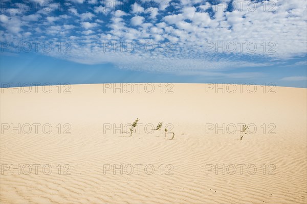 White sand dunes