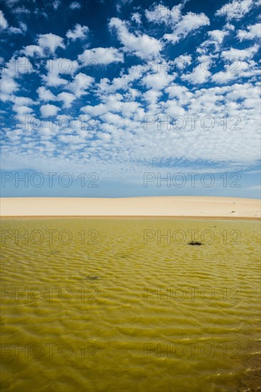 Pluvial lake in the dunes