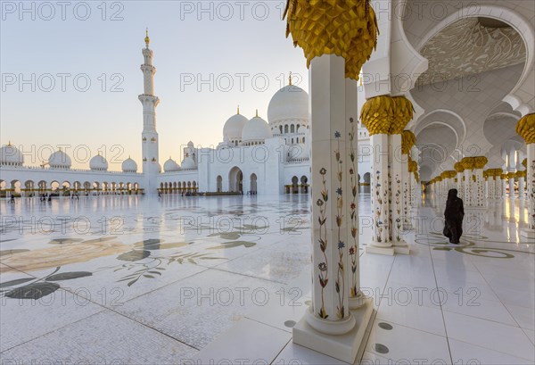 Sheikh Zayed Mosque