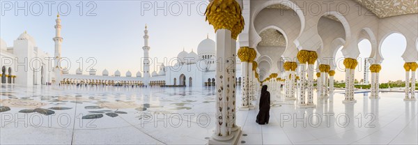 Sheikh Zayed Mosque