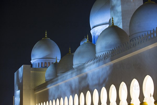 Sheikh Zayed Mosque