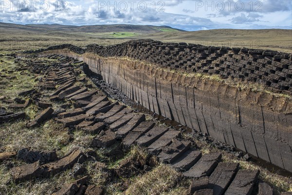 Cut peat on a peat bog