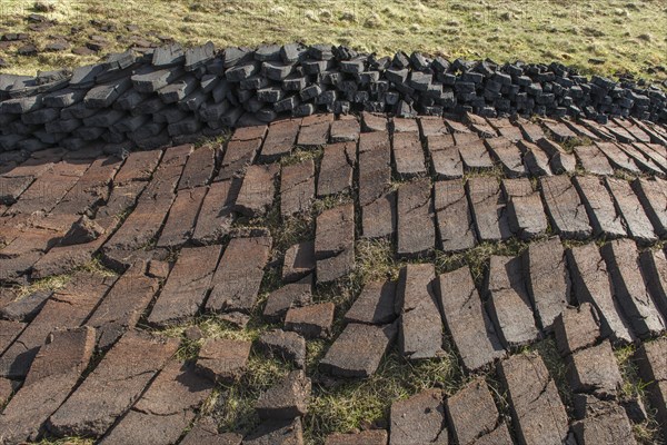 Cut peat on a peat bog