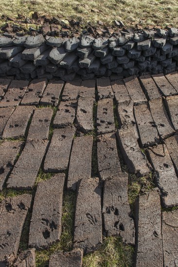 Cut peat on a peat bog