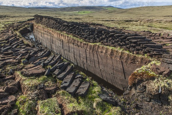 Cut peat on a peat bog