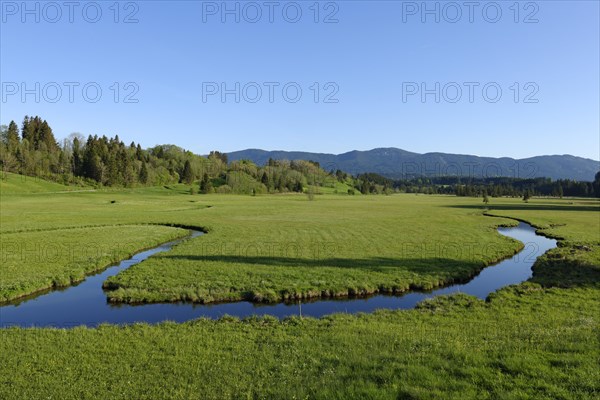 Moore um die Wies Nature Reserve