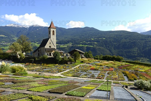 Church of St. Clement in