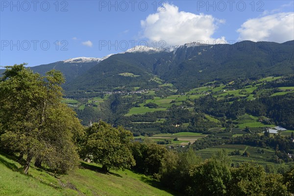 View from Keschtnweg or Kastanienweg in Brixen to the Plose massif