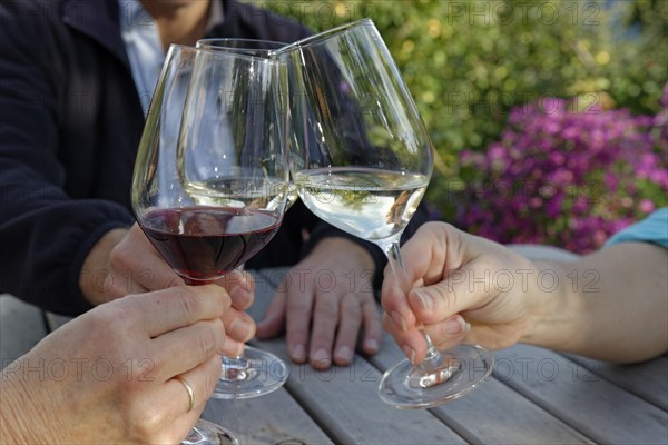 Three people clink their wine glasses