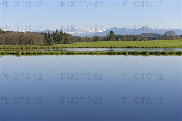 Fishponds at Nussberger Weiher