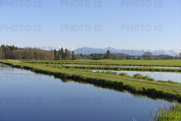 Fishponds at Nussberger Weiher