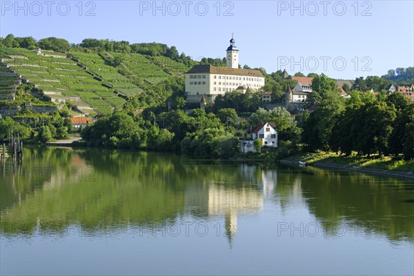 Horneck Castle on the Neckar river