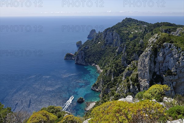 View from the park on cliff with Faraglioni rocks