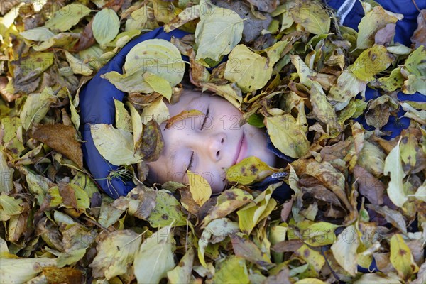 Boy lying in autumn foliage