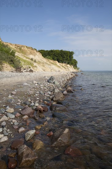 Nature reserve Brodtener shore