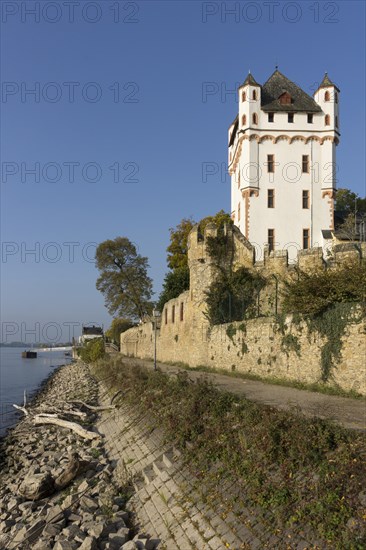 Electoral castle on the Rhine