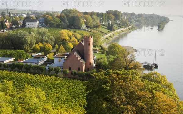 View of Burg Crass and the Rhine