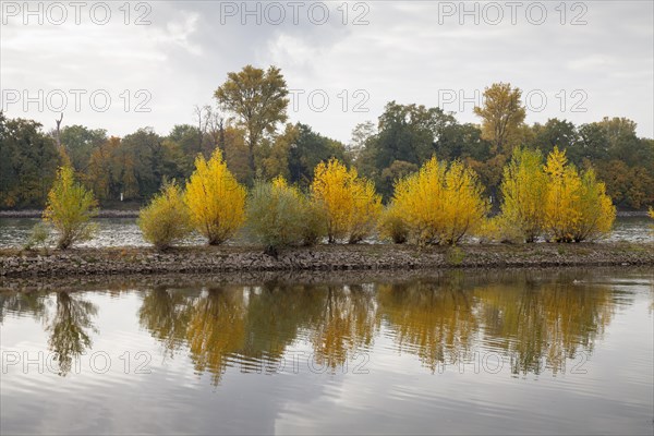 Mariannenaue am Rhein